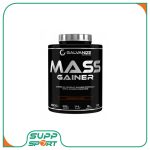 مس گینر 3 کیلویی گالوانایز