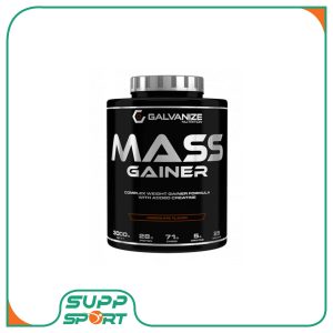 مس گینر 3 کیلویی گالوانایز
