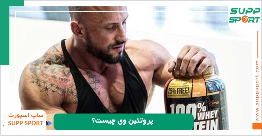 پروتئین وی چیست؟
