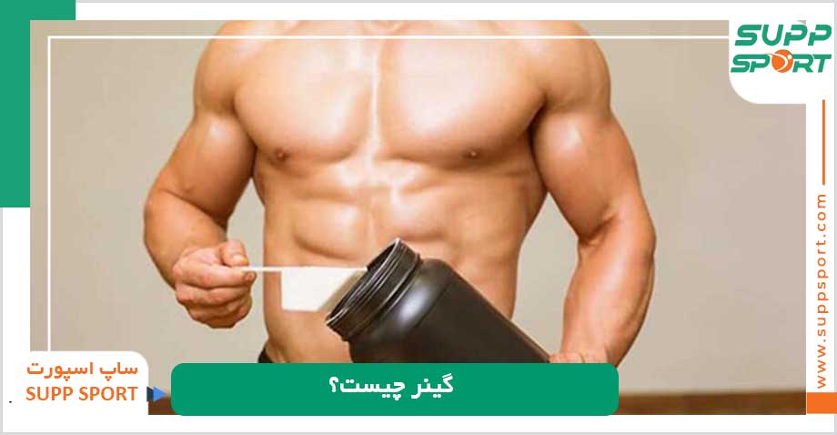 گینر چیست؟