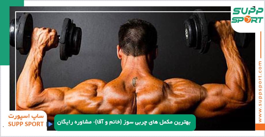 بهترین مکمل های چربی سوز
