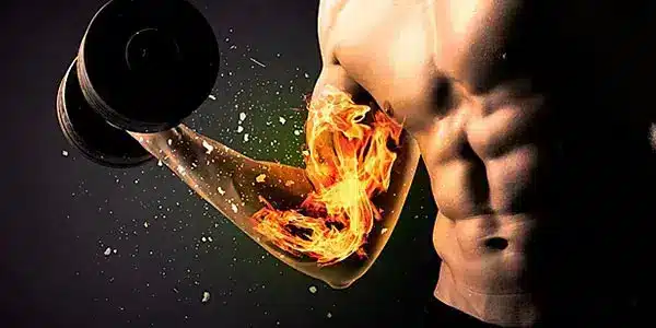 بهترین پروتئین وی برای عضله سازی