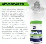 گلوتامین پی وی ال 400 گرم( PVL 100% Pure Glutamine) - Image 3