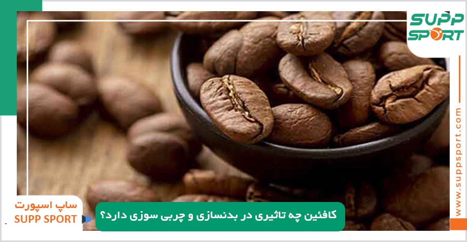 کافئین چه تاثیری در بدنسازی و چربی سوزی دارد؟