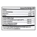 کراتین ایوژن 300 گرم( Evogen Creatine) - Image 2