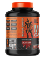 مس گینر فلکس ویلر2.9کیلوگرم(Flex Wheeler MASS GAINER) - Image 2
