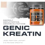 کراتین ترکیبی ویدر 554گرم (Weider Weider Maximum Krea-Genic) - Image 3