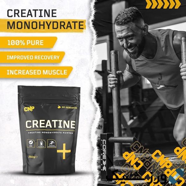 کراتین مونوهیدرات سی ان پی 250گرم Cnp Creatine - تصویر 2