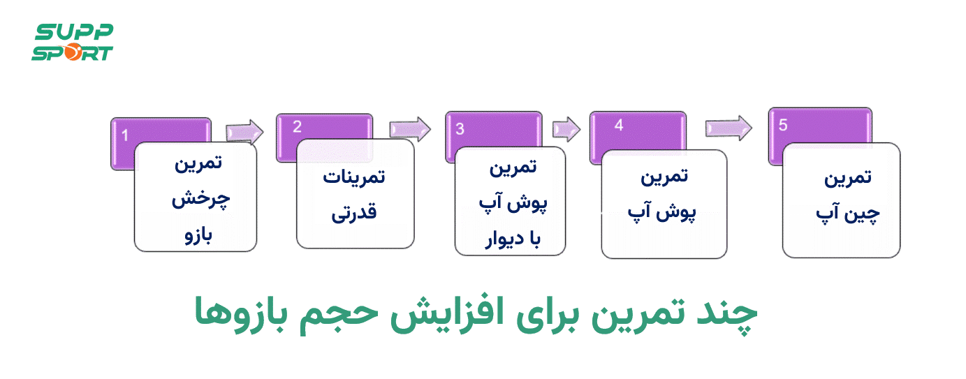 انجام چند ورزش برای افزایش حجم بازوها