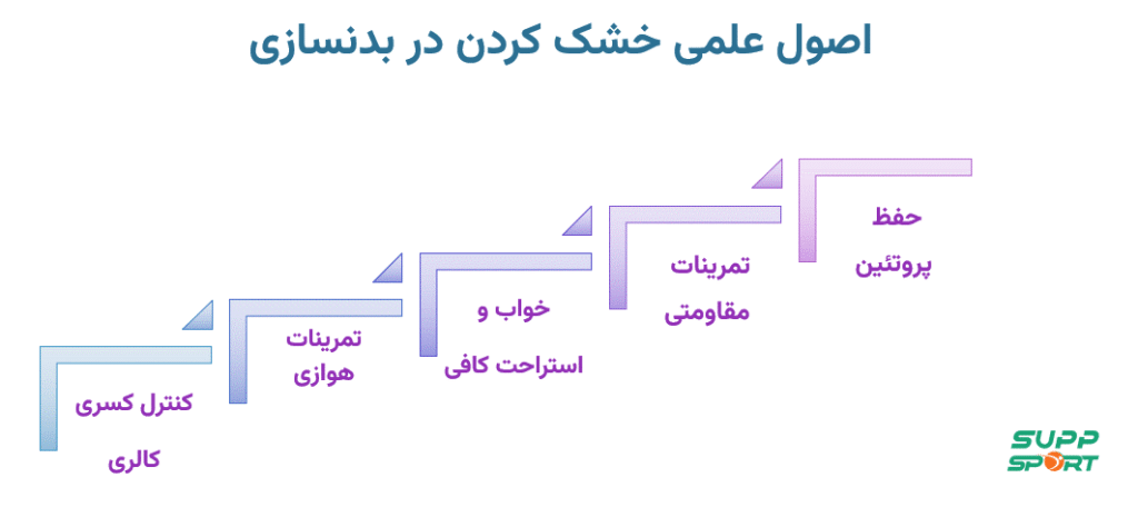 بررسی اصول علمی خشک کردن در بدنسازی