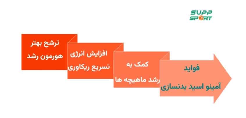 قیمت آمينو اسيد بدنسازی