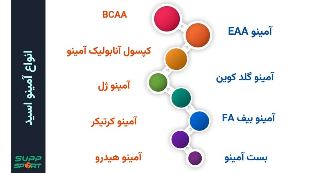 خرید آمينو اسيد بدنسازی