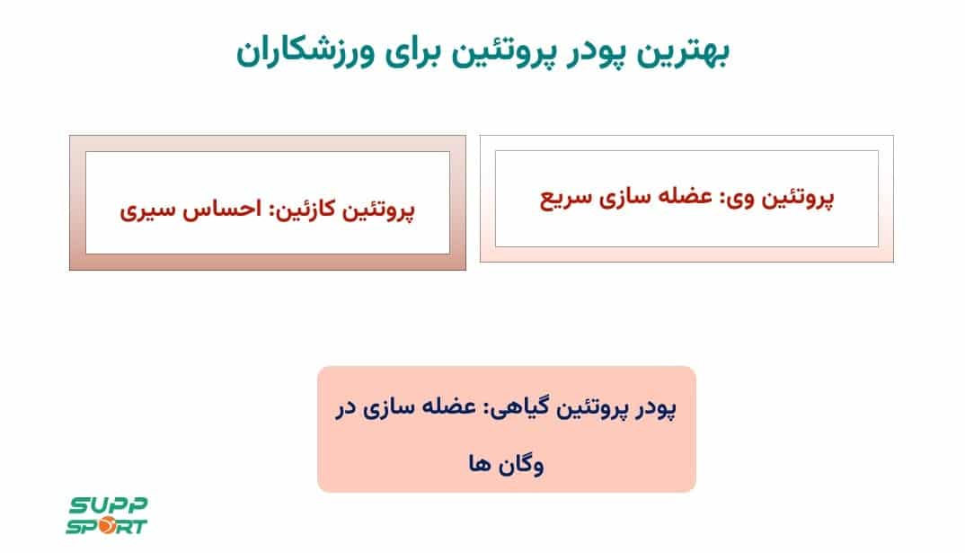 قیمت پروتئین بدنسازی