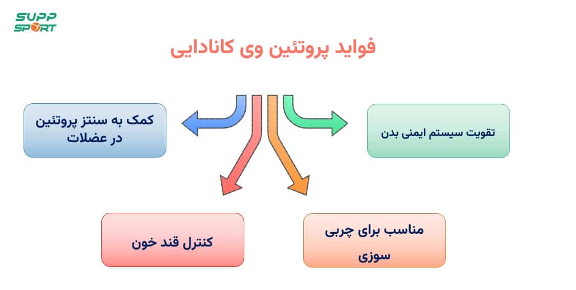 فواید خرید پروتئین وی اصل کانادایی