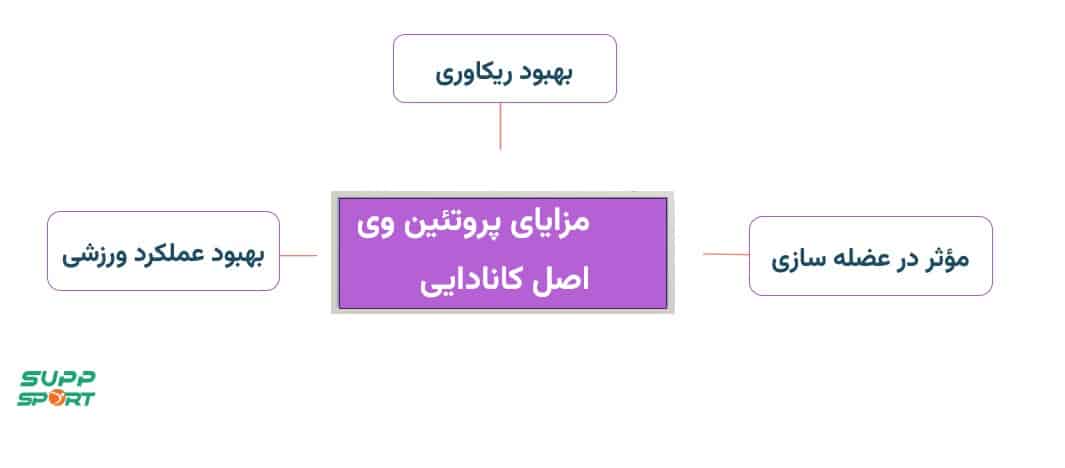 خرید پروتئین وی اصل کانادایی