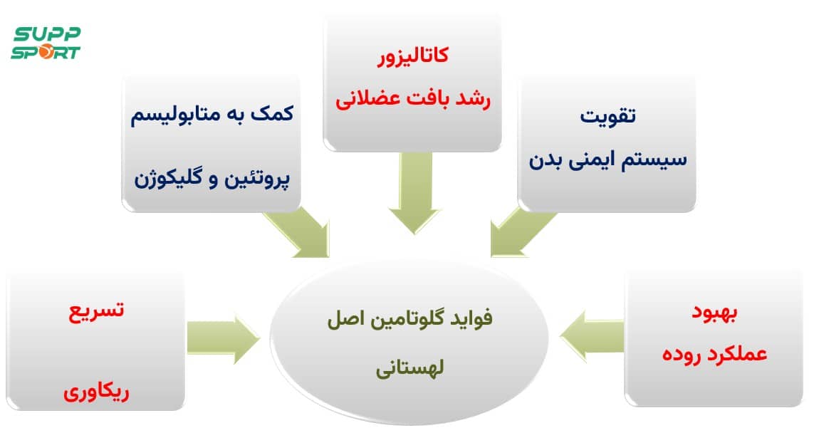 خرید گلوتامین اصل لهستانی