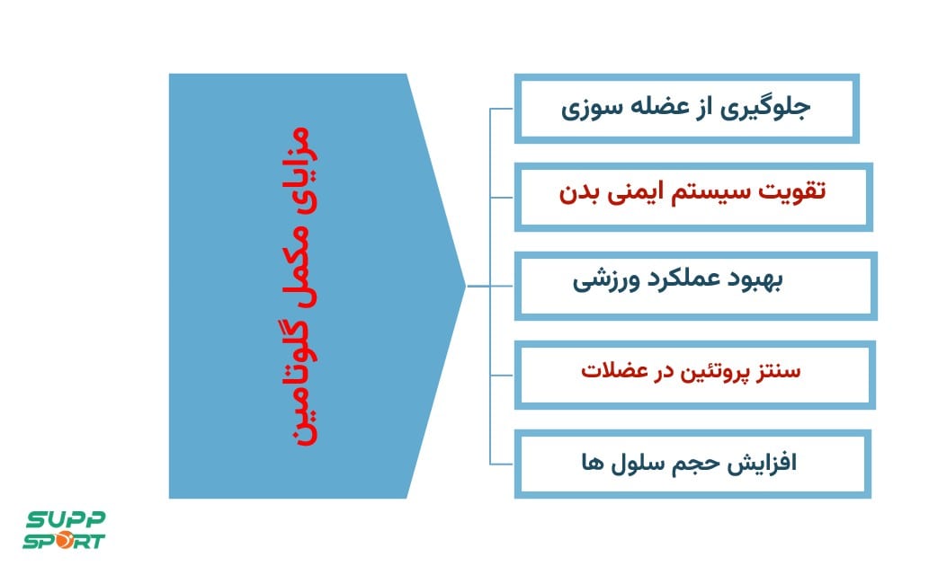 قیمت مکمل گلوتامین