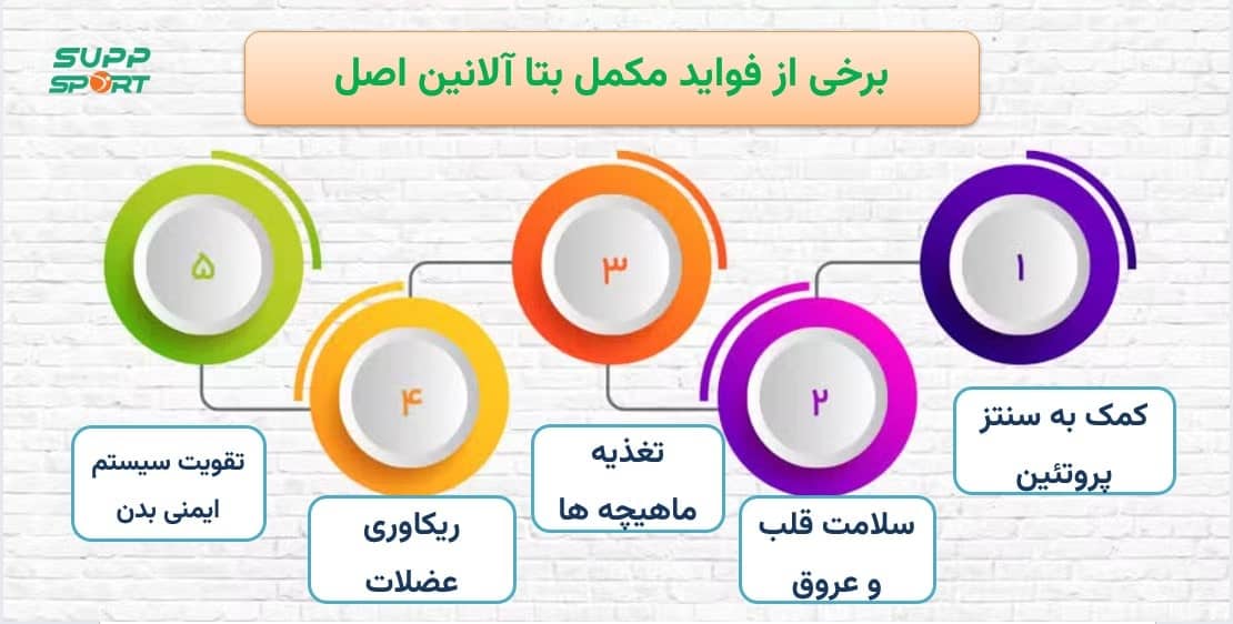خرید مکمل بتا آلانین اصل