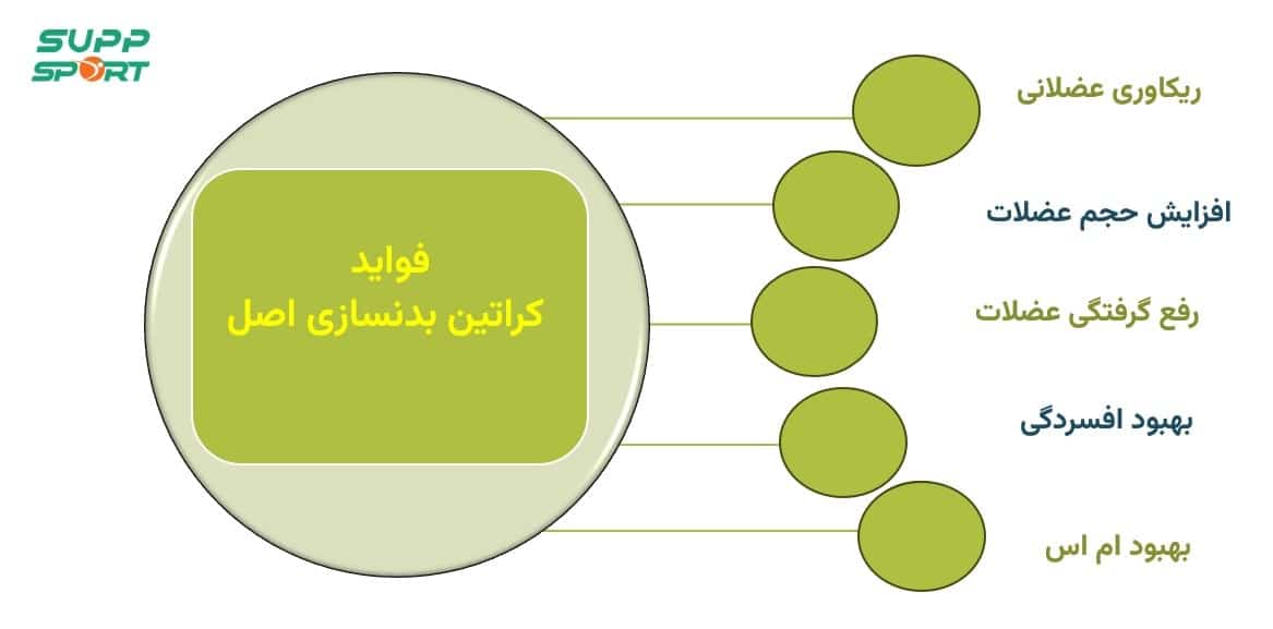 خرید کراتین بدنسازی اصل