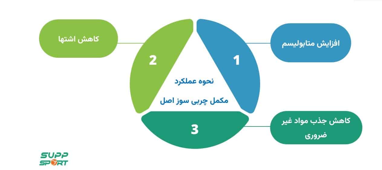 خرید مکمل چربی سوزی اصل