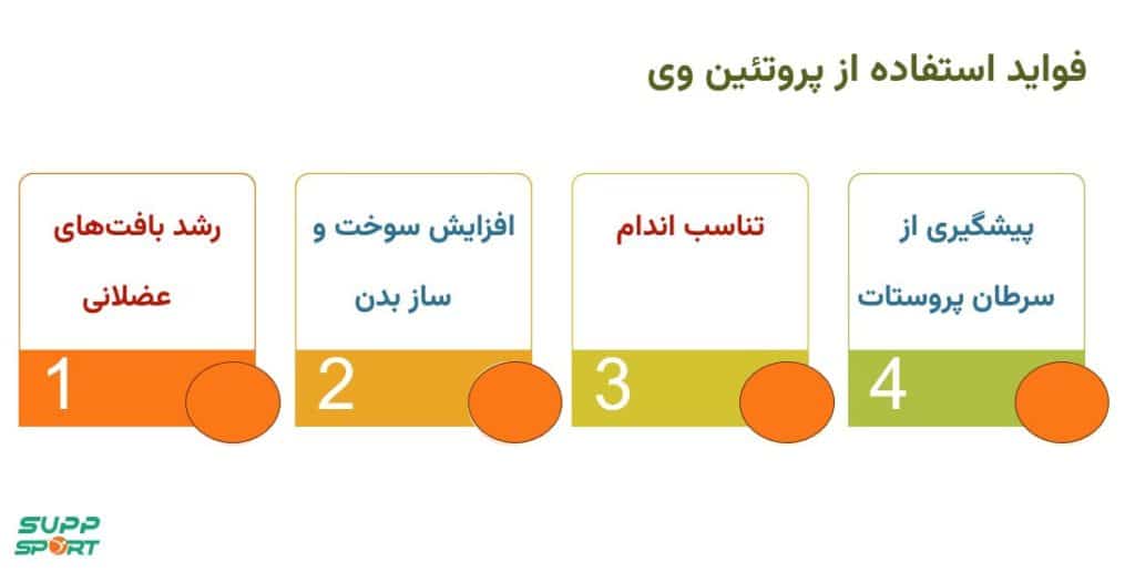 قیمت پروتئین وی های اصل