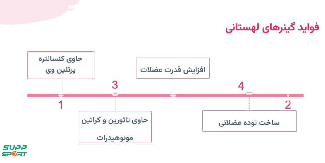 خرید گینر اصل لهستانی