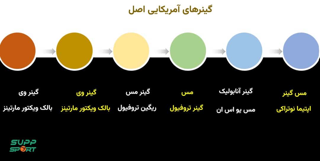 قیمت گینر اصل آمریکایی