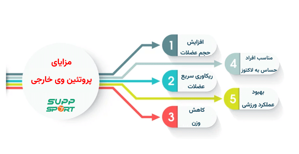 مزایای پروتئین وی خارجی
