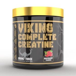 کراتین کمپلیت وایکینگ 300گرم (VIKING COMPLETE CREATINE)