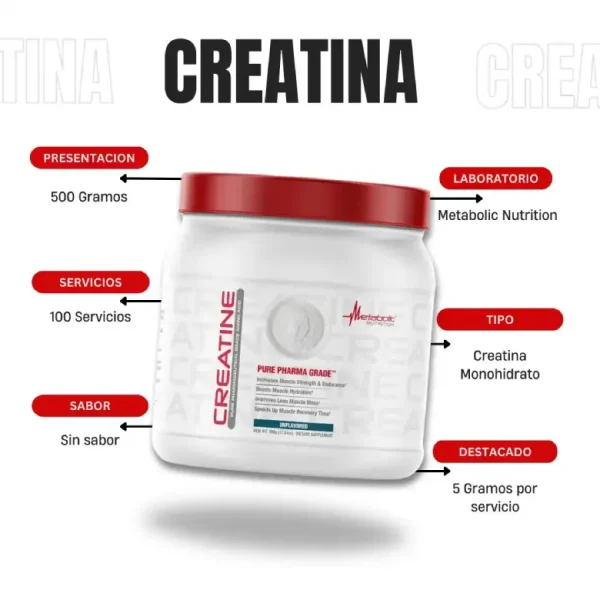 کراتین متابولیک 500گرم (METABOLIC CREATINE) - Image 2